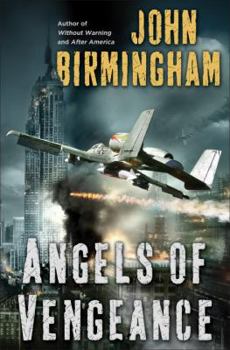 Hardcover Angels of Vengeance Book