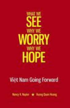 Paperback What We See, Why We Worry, Why We Hope: Vietnam Going Forward Book