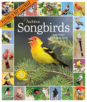 Calendar Audubon Songbirds and Other Backyard Birds Picture-A-Day Wall Calendar 2024: A Beautiful Bird Filled Way to Keep Track of 2024 Book