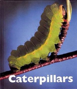 Library Binding Caterpillars Book