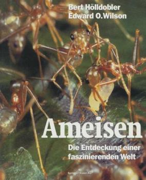 Paperback Ameisen: Die Entdeckung Einer Faszinierenden Welt [German] Book