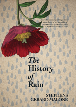 Paperback The History of Rain Book