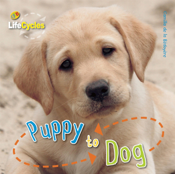 Puppy to Dog - Book  of the Lifecycles