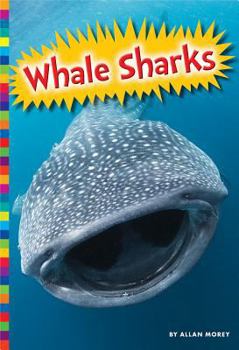 Library Binding Whale Sharks Book