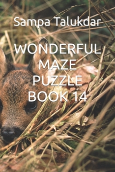 WONDERFUL MAZE PUZZLE BOOK 14