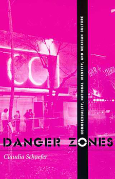 Paperback Danger Zones: Homosexuality, Nationa Identity, and Mexican Culture Book