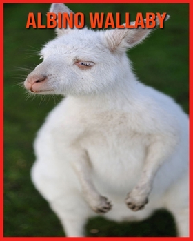 Albino Wallaby: Childrens Book Amazing Facts & Pictures about Albino Wallaby