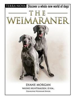 Hardcover The Weimaraner [With DVD] Book