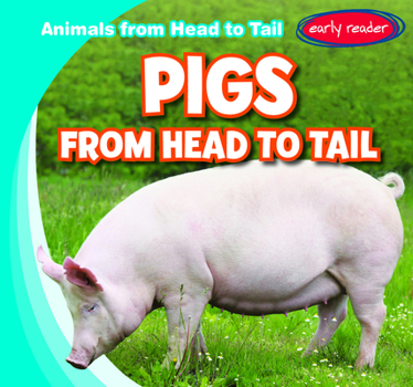 Paperback Pigs from Head to Tail Book