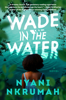 Hardcover Wade in the Water Book