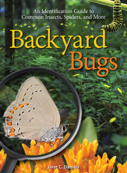 Paperback Backyard Bugs: An Identification Guide to Common Insects, Spiders, and More Book