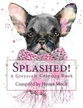 Paperback Splashed!: For the young at heart Book