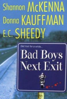 Bad Boys Next Exit (Men of Rogues Hollow, #2) - Book #2 of the Men of Rogue's Hollow