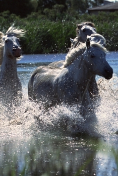 2020 Weekly Planner Horse Photo Equine Ponies Crossing Water 134 Pages: 2020 Planners Calendars Organizers Datebooks Appointment Books Agendas