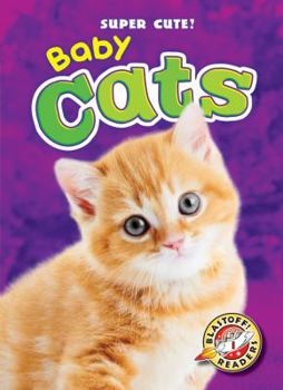 Baby Cats - Book  of the Super Cute!