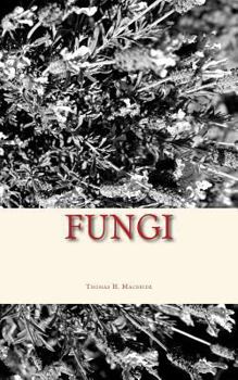 Paperback Fungi Book