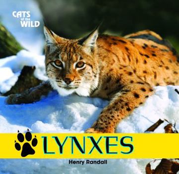 Lynxes