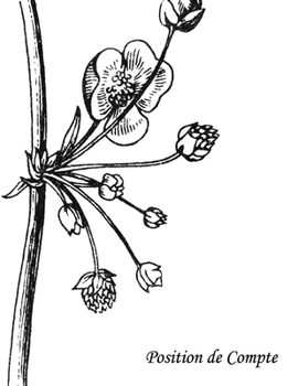 Paperback Position de Compte: cahier de compte [French] Book