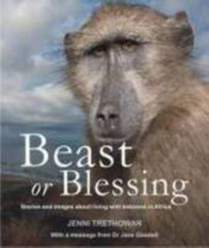 Hardcover Beast or Blessing: Stories and Images about Living with Baboons in Africa Book