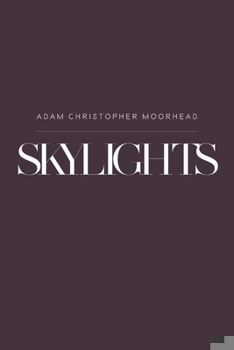 Paperback Skylights Book