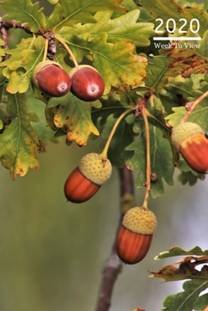 2020 A5 Diary Week To View Planner For All Occasions: | Year Planner For Business, Office, Home, University, College, School, Appointments, Organizer.