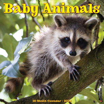 Calendar Baby Animals 2024 12 X 12 Wall Calendar Book