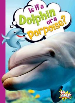 Paperback Is It a Dolphin or a Porpoise? Book