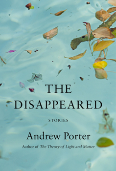Hardcover The Disappeared: Stories Book
