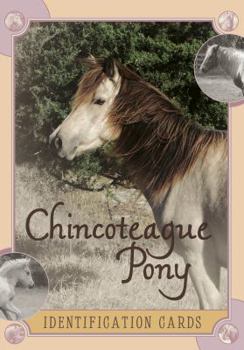 Cards Chincoteague Pony Identification Cards, Set 2 Book