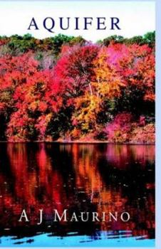 Hardcover Aquifer Book