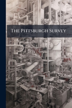 Paperback The Pittsburgh Survey: The Steel Workers, By J.a. Fitch. 1910 Book