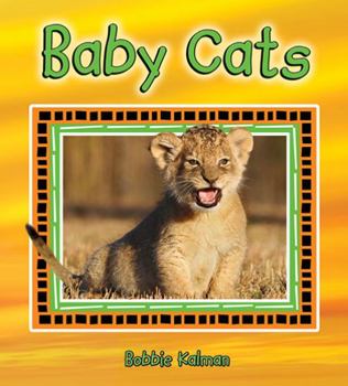 Hardcover Baby Cats Book