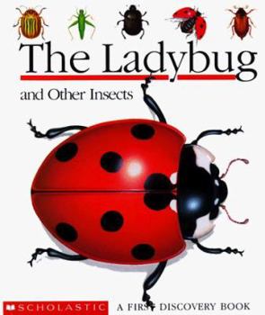 Hardcover The Ladybug and Other Insects Book