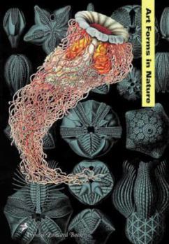 Cards Art Forms in Nature (Prestel Postcard Book) Book