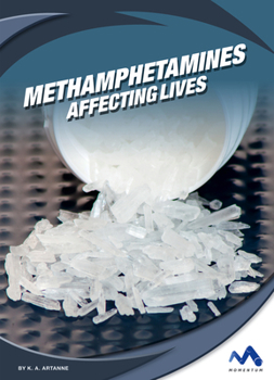 Library Binding Methamphetamines: Affecting Lives Book