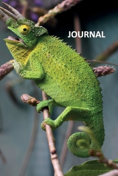 Paperback Journal: Chameleon camouflage Handy Bullet Journal Dot Grid Daily Planner Student for researching iridophore cells Book