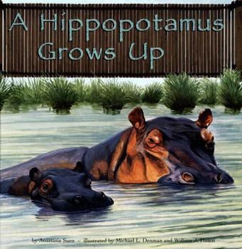 Library Binding A Hippopotamus Grows Up Book