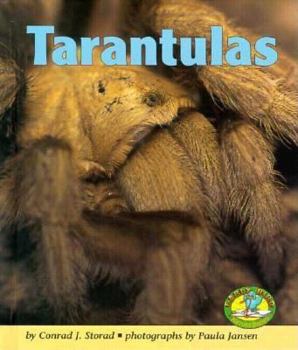 Hardcover Tarantulas Book