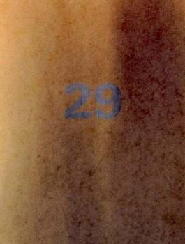 Paperback Perspecta 29 Into the Fire: The Yale Architectural Journal Book