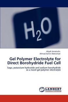 Paperback Gel Polymer Electrolyte for Direct Borohydride Fuel Cell Book