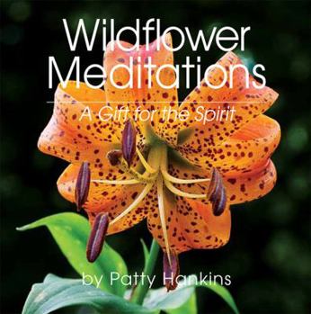 Paperback Wildflower Meditations: A Gift for the Spirit Book