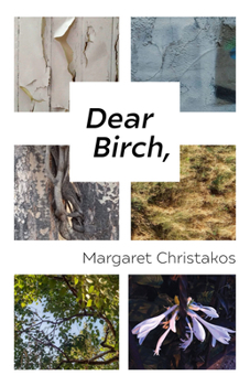 Paperback Dear Birch Book