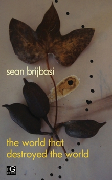 Paperback The world that destroyed the world: a poem Book