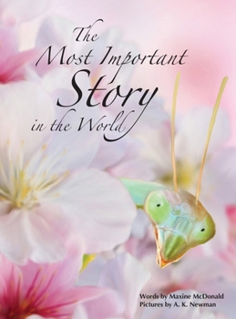 Hardcover The Most Important Story in the World Book