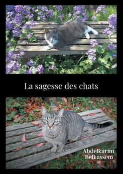 Paperback La sagesse des chats [French] Book