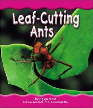 Hardcover Leaf-Cutting Ants Book