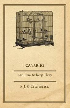 Paperback Canaries: And How to Keep Them Book
