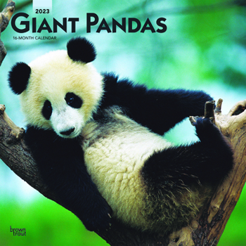 Calendar Giant Pandas 2023 Square Book