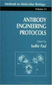 Paperback Antibody Engineering Protocols Book