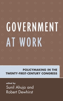 Hardcover Government at Work: Policymaking in the Twenty-First-Century Congress Book